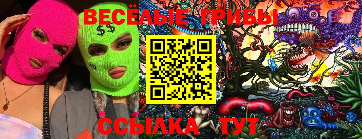 Псилоцибиновые грибы GOLDEN TEACHER Златоуст