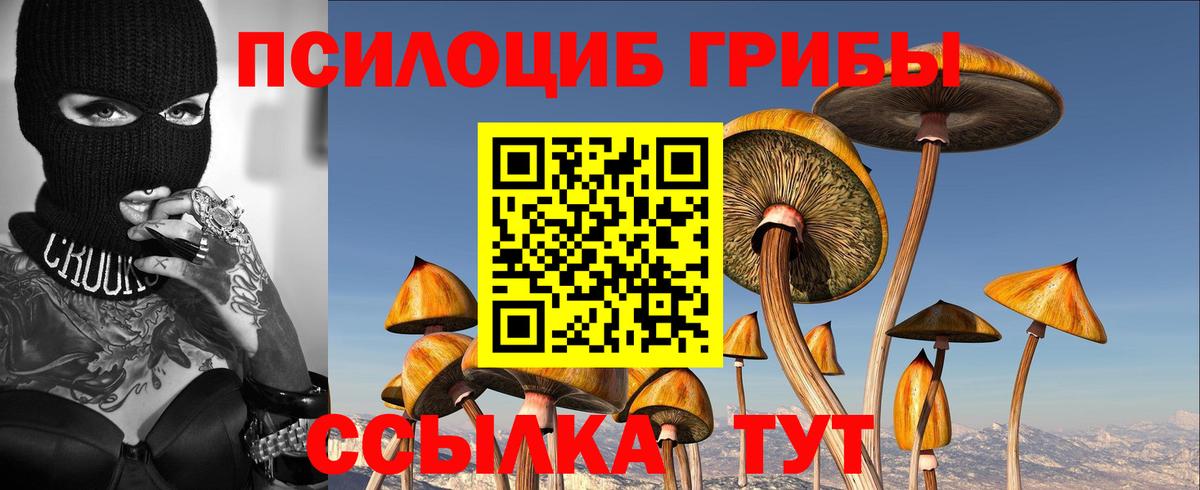 Златоуст  Псилоцибиновые грибы Psilocybine cubensis  Вход с VPN  Псилоцибиновые грибы ЛСД 